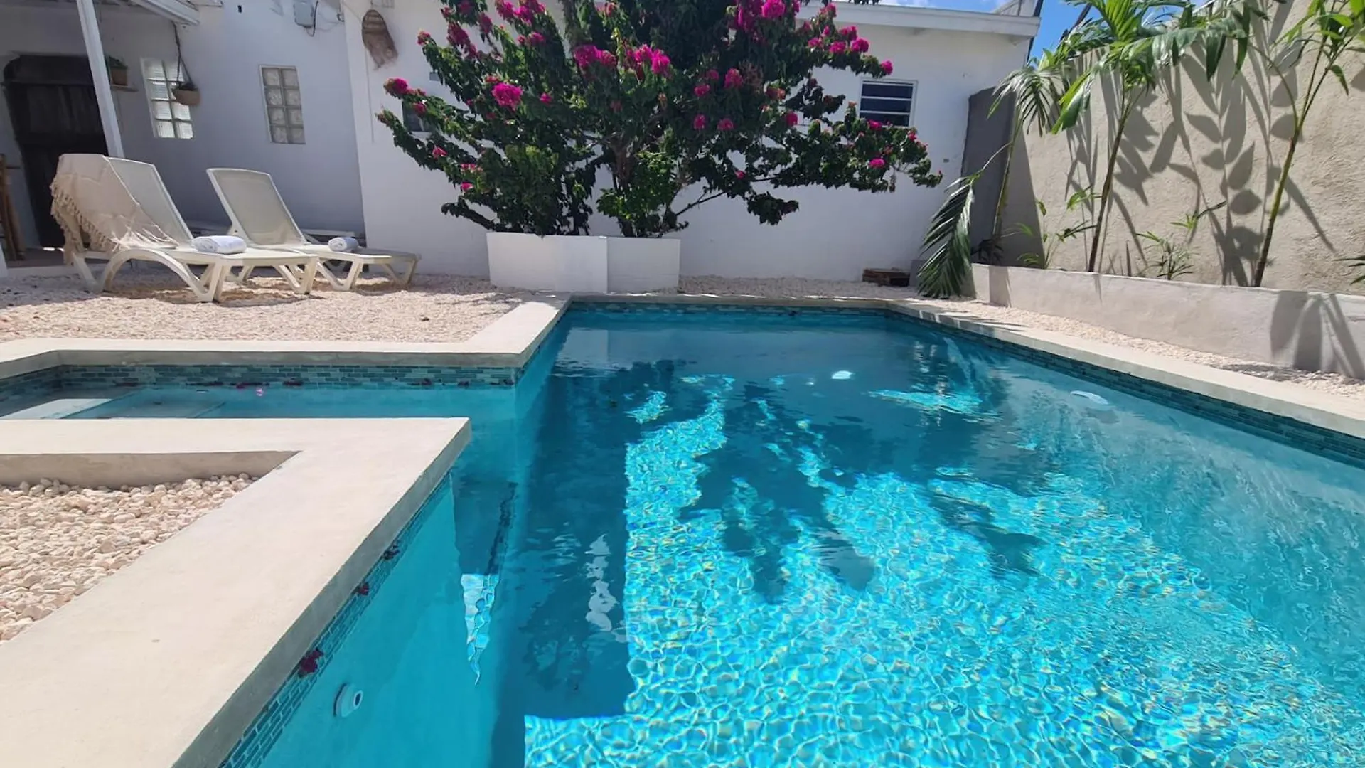Flamingo Apartment Willemstad Curacao