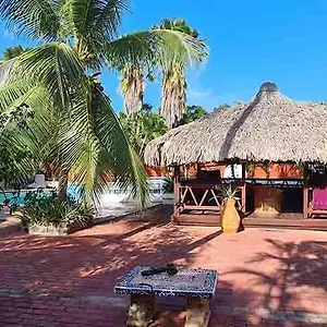 Woodstock Palmresort Curacao Alojamento de Acomodação e Pequeno-almoço